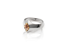 Load image into Gallery viewer, Powered Ring