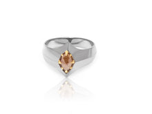 Load image into Gallery viewer, Powered Ring