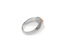 Load image into Gallery viewer, Powered Ring