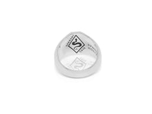 Load image into Gallery viewer, The Silver Sapphire Lion