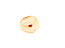 Load image into Gallery viewer, The Serpent Square Signet
