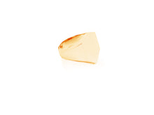 Load image into Gallery viewer, The Shield Signet