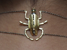 Load image into Gallery viewer, Silkened Weaver &amp; Aegis Beetle